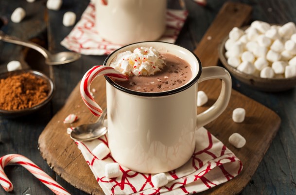Mug of hot chocolate with toppings.